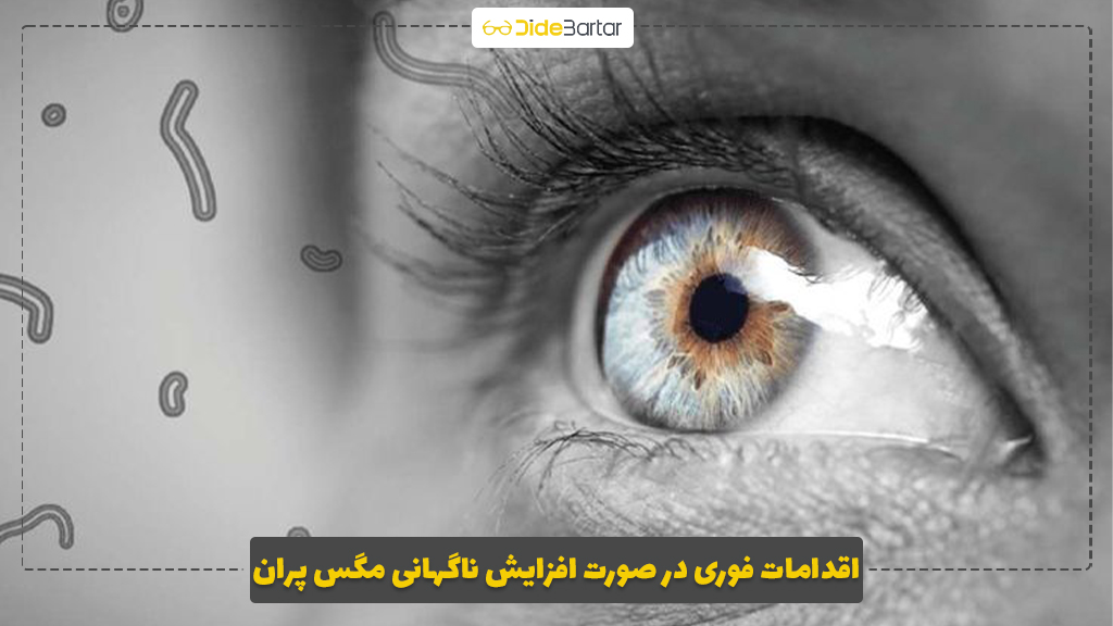 اقدامات فوری در صورت افزایش ناگهانی مگس‌ پران